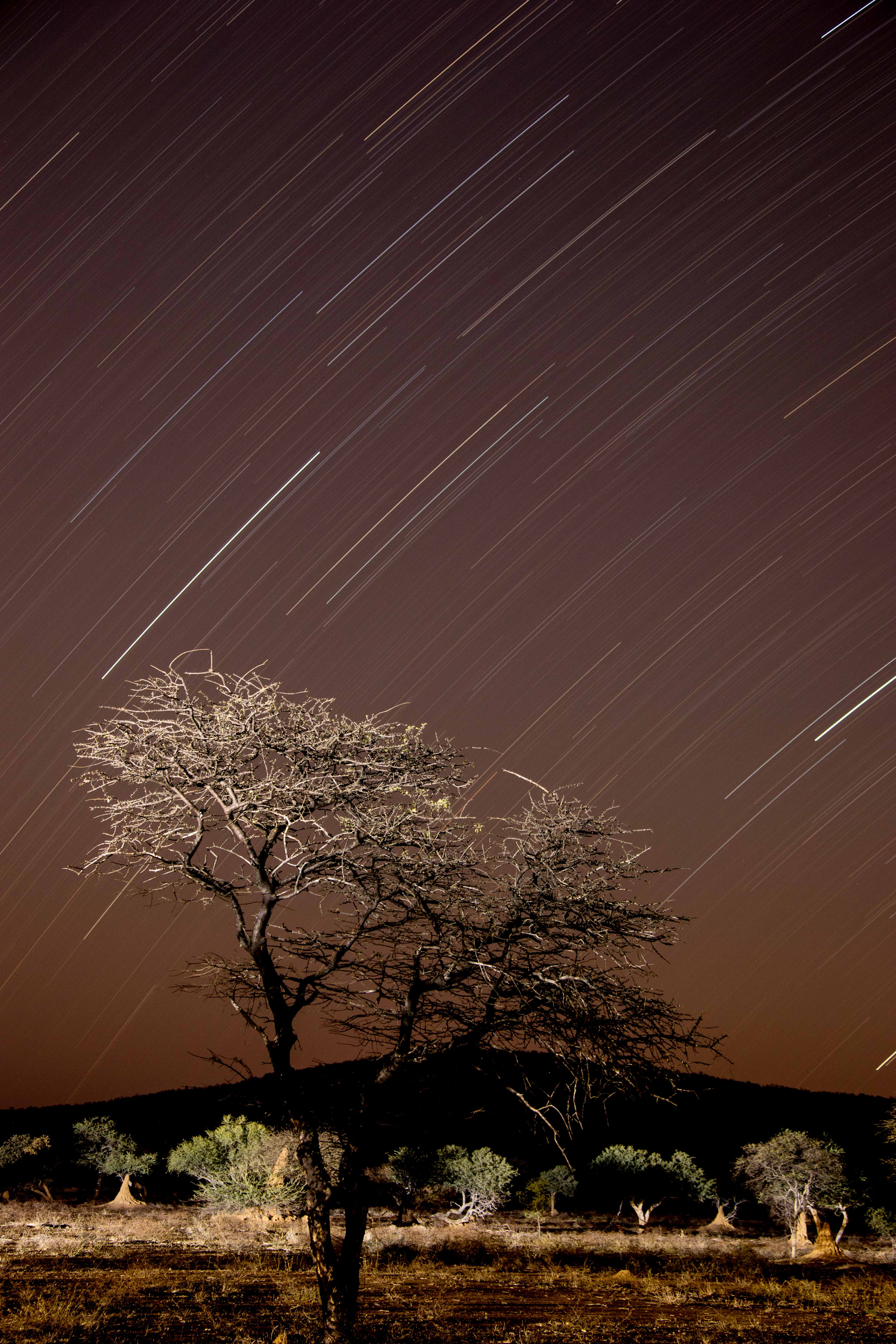 1,900 seconds in namibia-0513.jpg